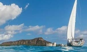 Sail & Sea Turtle Swim