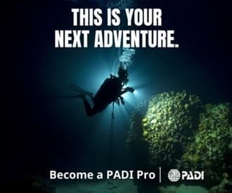 PADI Divemaster