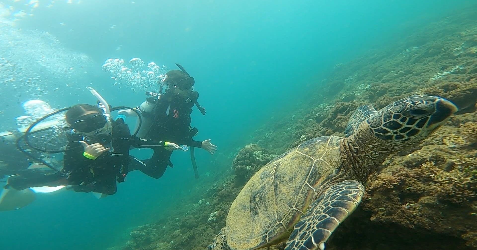 貸切キッズ体験ダイビング