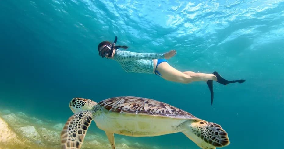 Turtle Canyon Snorkeling Cruise