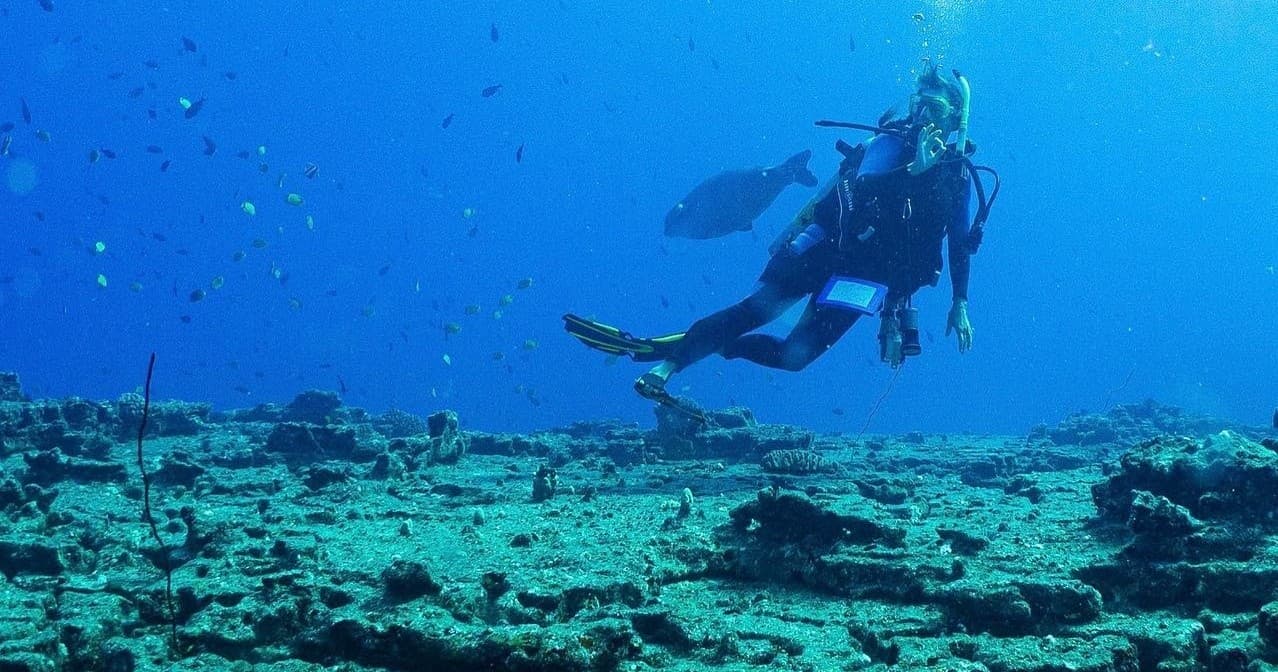 PADI Open Water Certification Class with e-learning