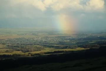 Pride of America • North Shore Maui Zipline Tour