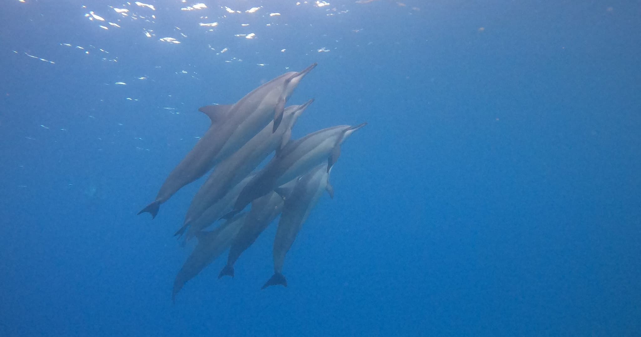 1st Time Dive Adventure