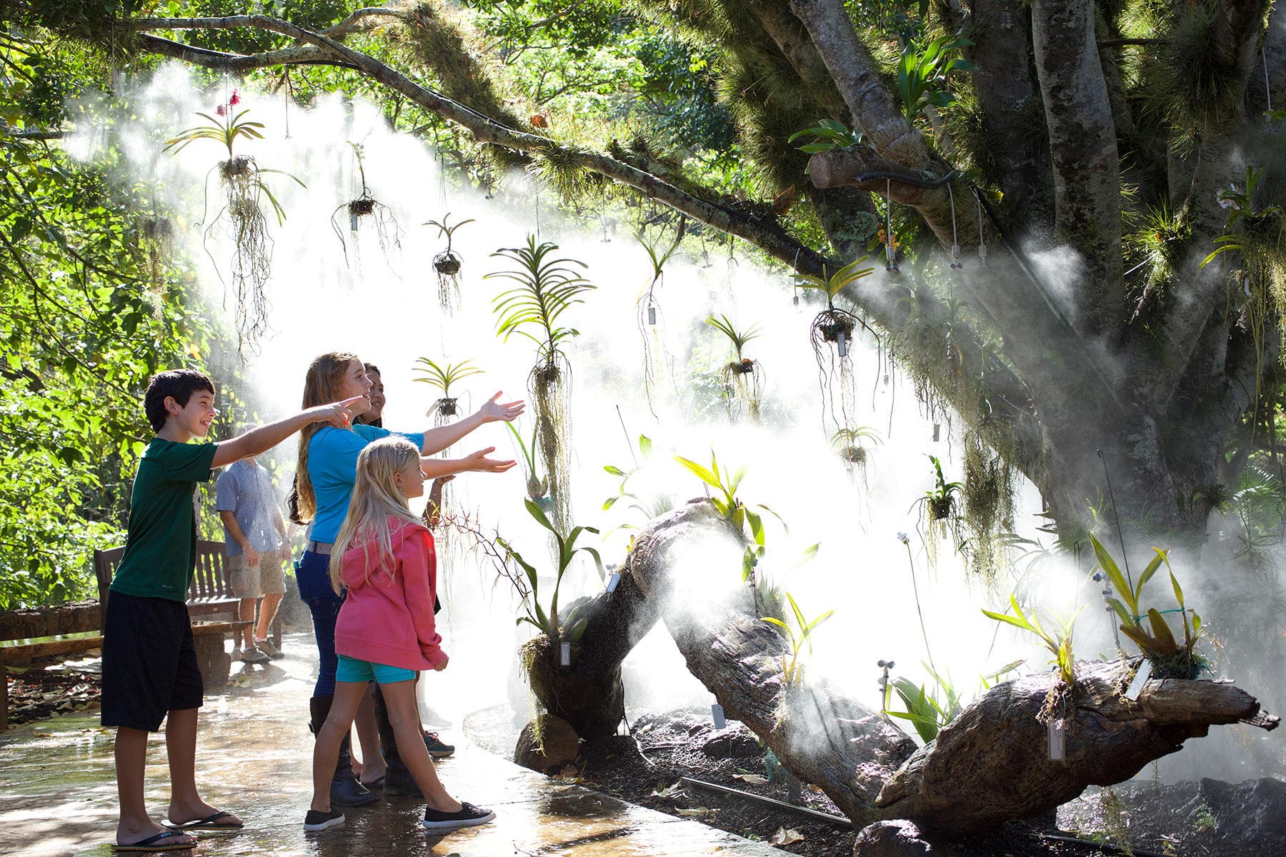 McBryde Garden Self Guided