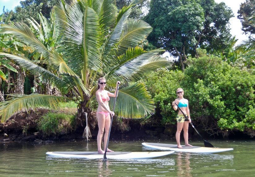 SUP Lesson & River Turtle Tour - OLD