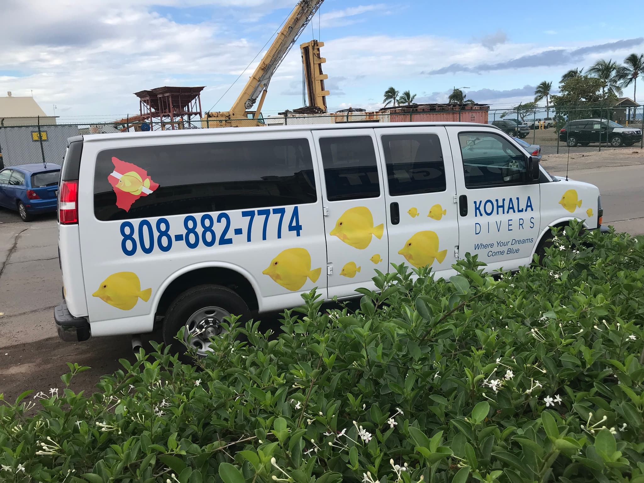 One-Site Afternoon Dive or Snorkel Trip