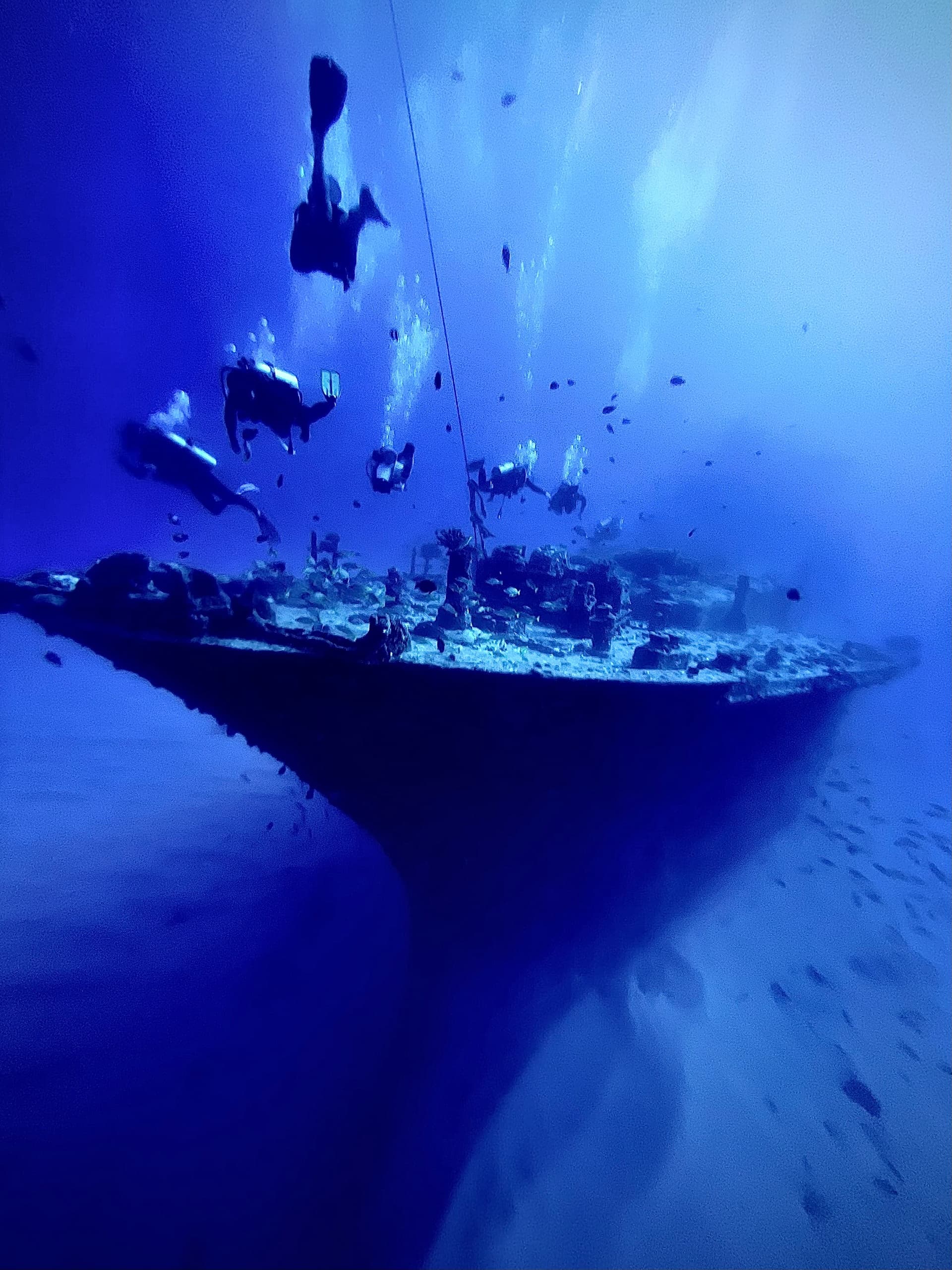Magnificent 2 Tank Shipwreck and/or Reef Boat Dive - Certified Only