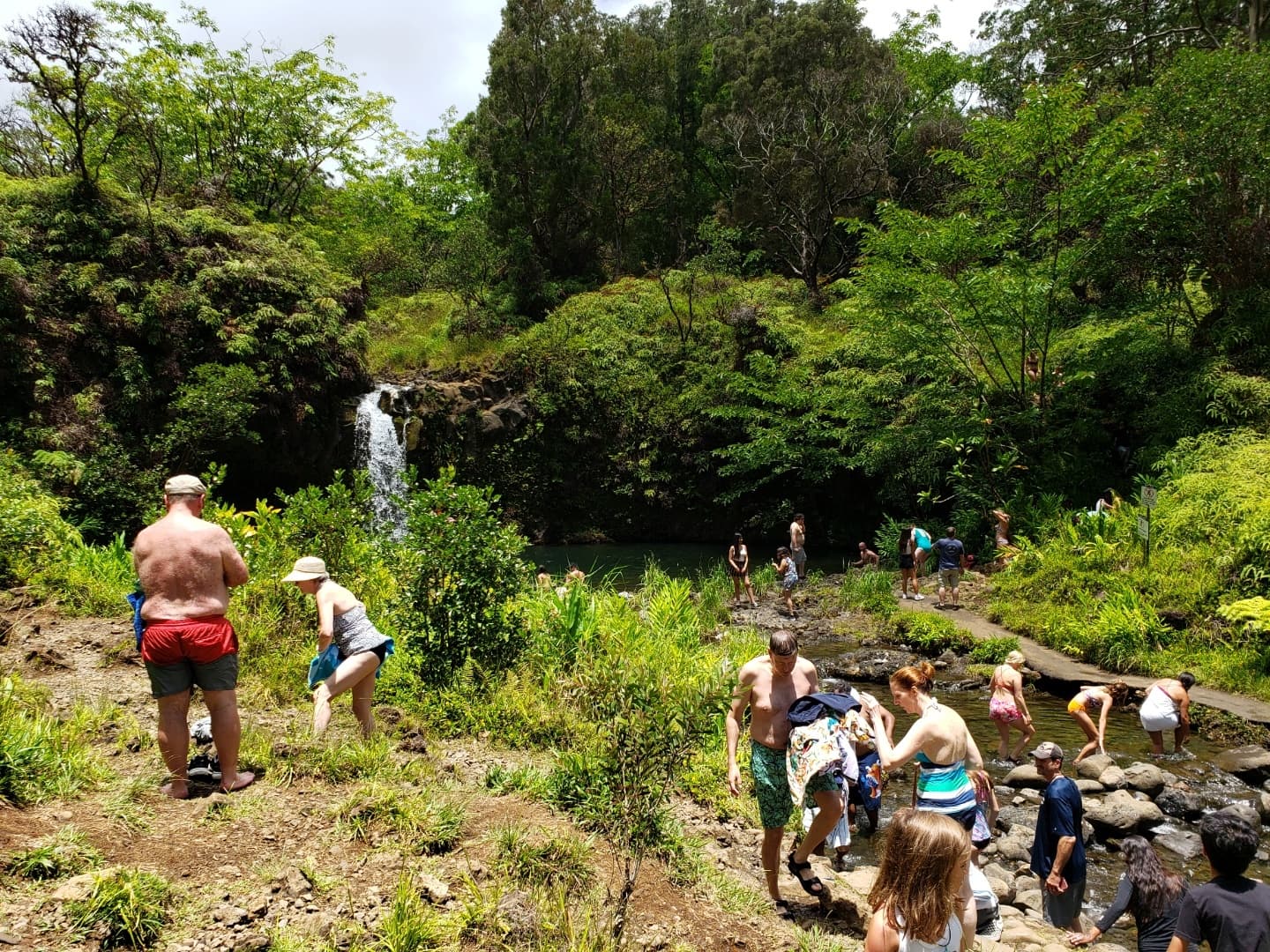 Private Tour upto 4 guests on all Islands