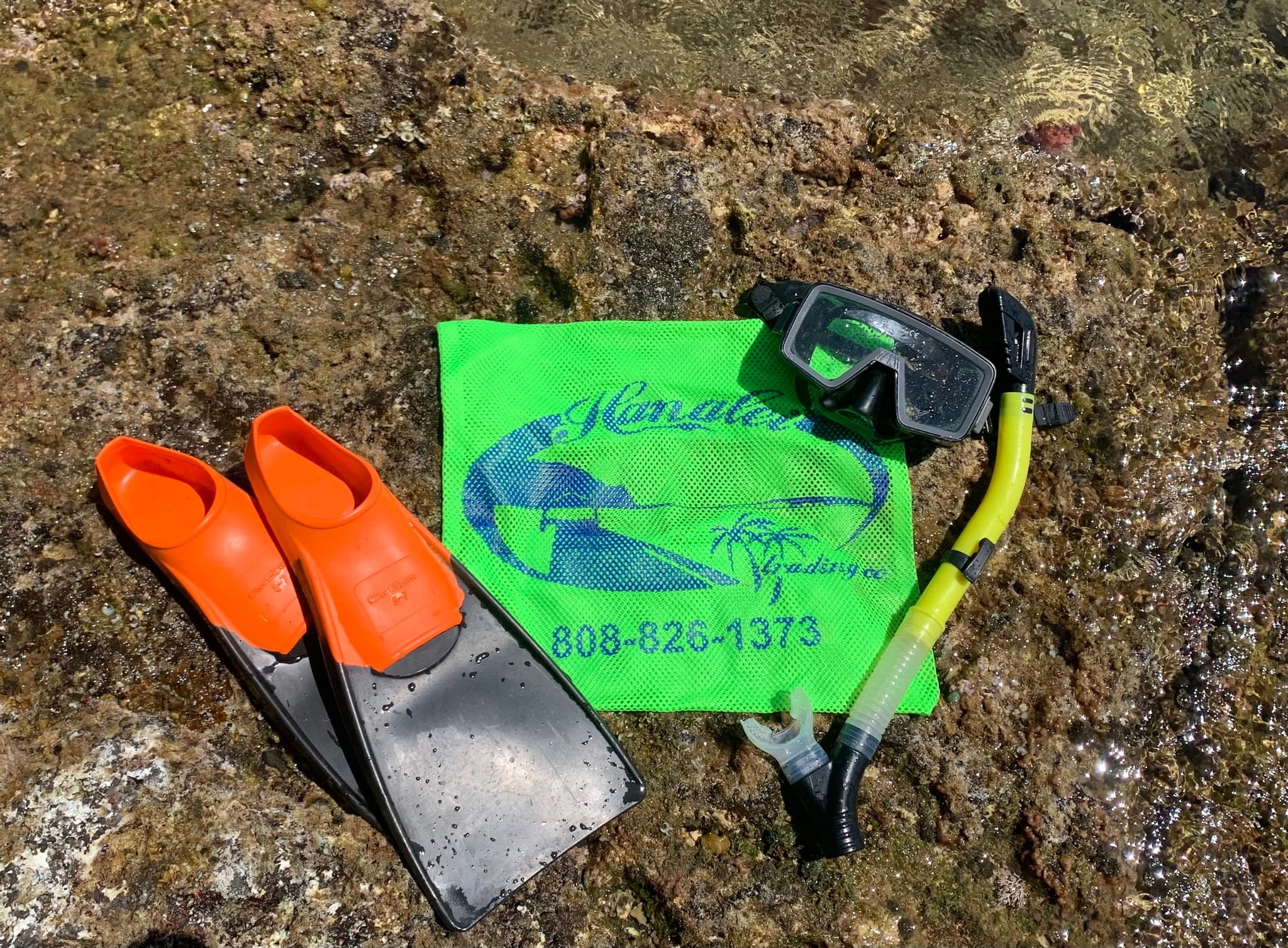 Adult Snorkel Set