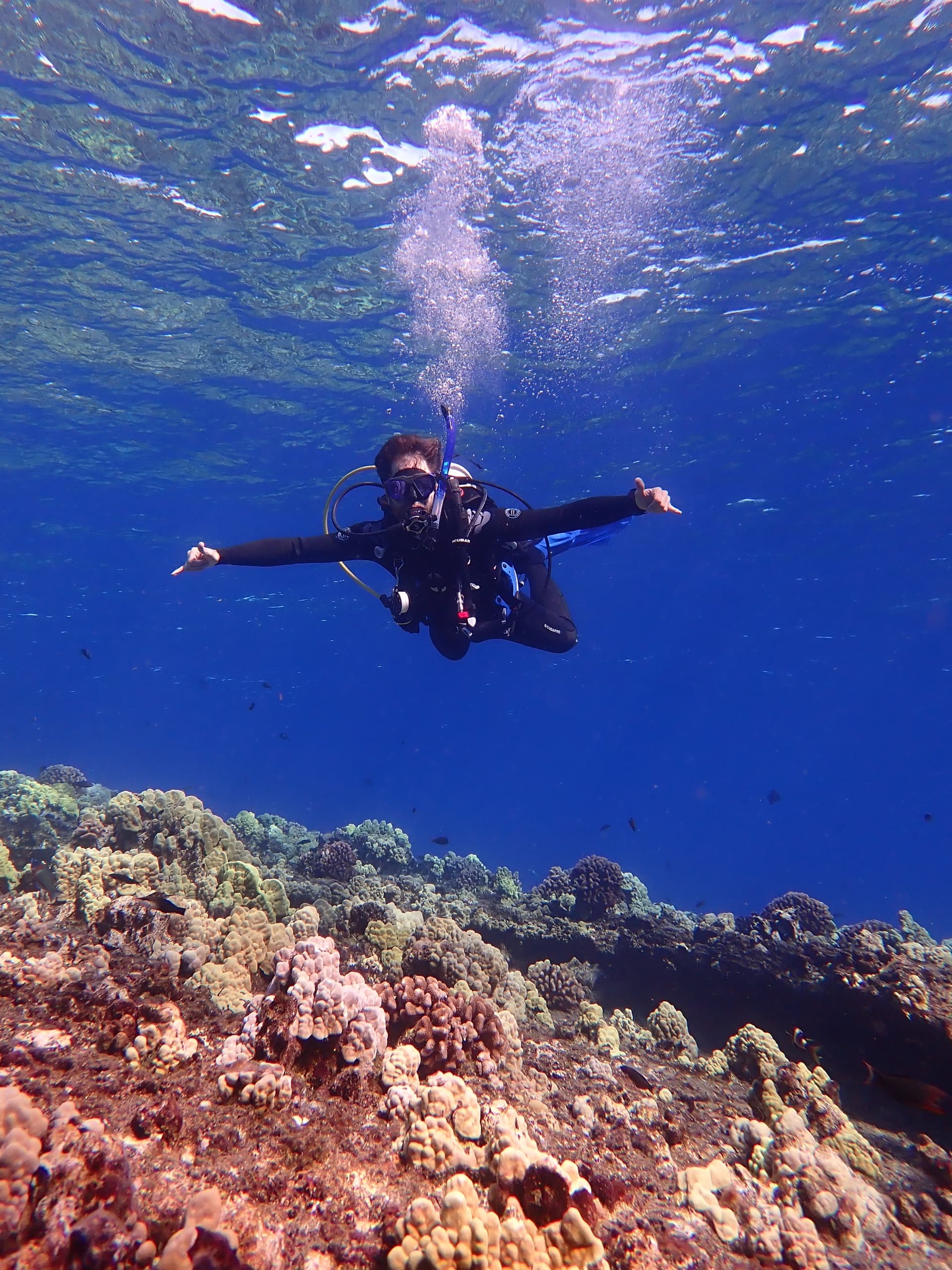 Molokini Double Backwall