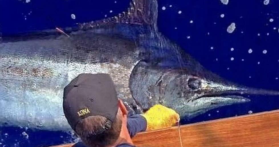 Private 3/4 Day Charter