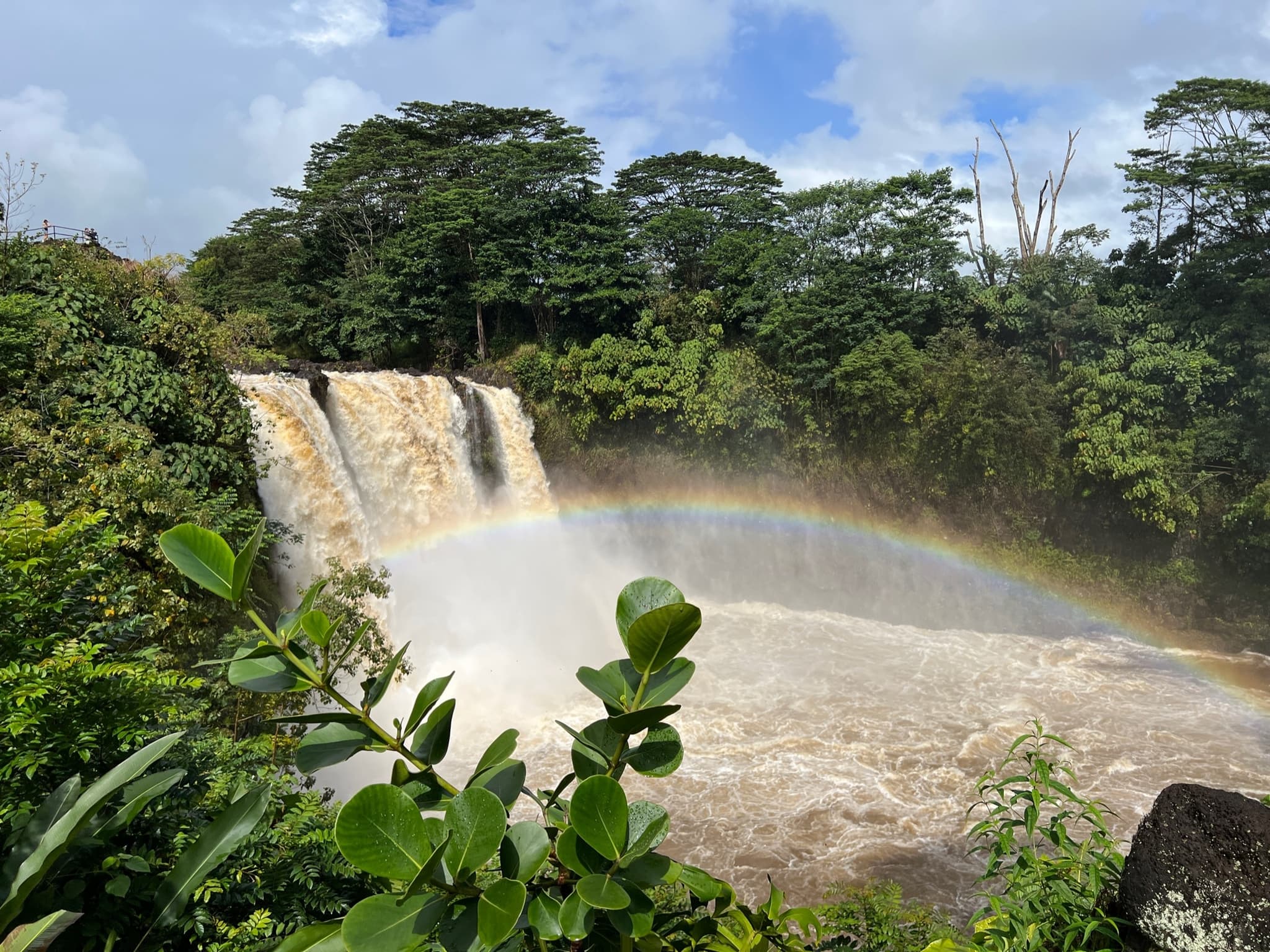 Best of Big Island Day Tour