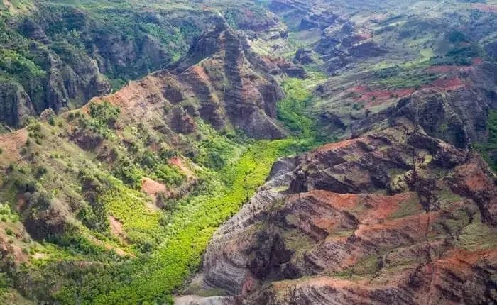 Waimea Canyon, Wailua River & Fern Grotto Tour (K1)