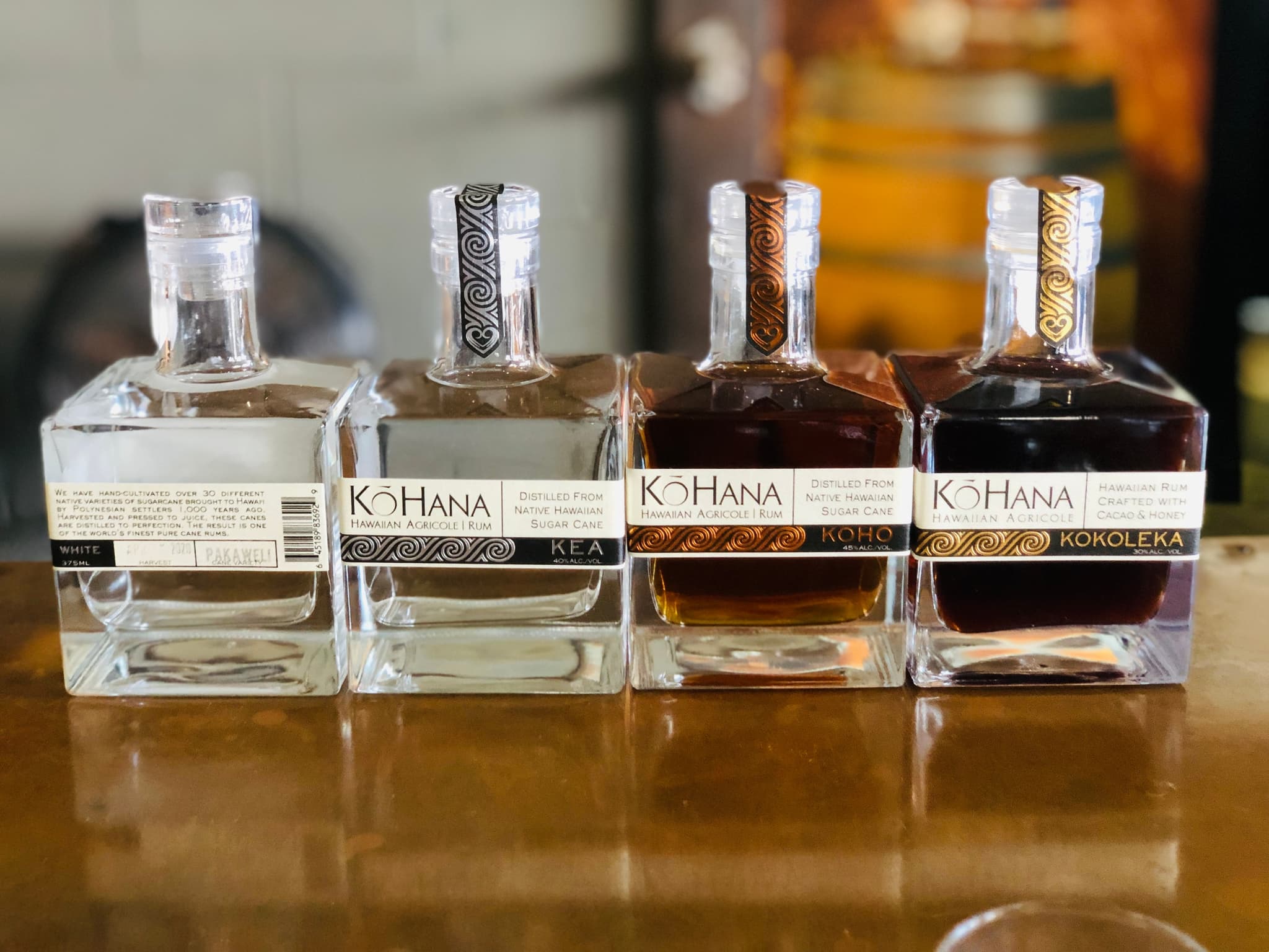 Dolphins, Caves, and Rum