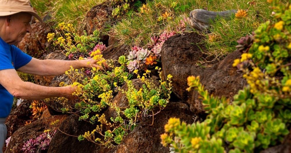 3-Hour Farm Tour Premium Package