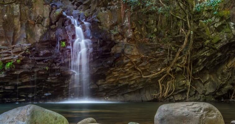 Morning Waterfall Walk & Swim