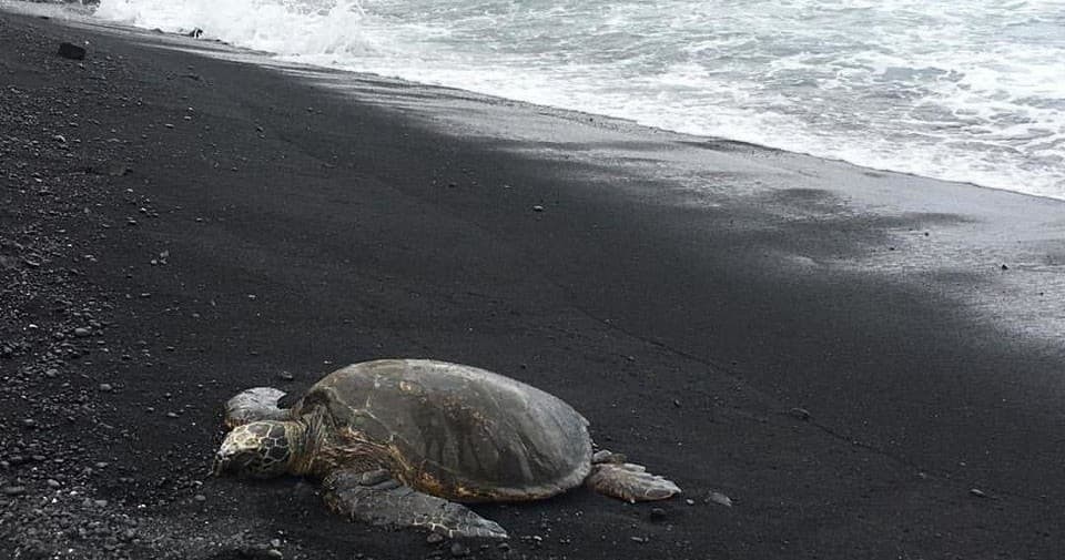 Private Customized Big Island Hawaii Tour