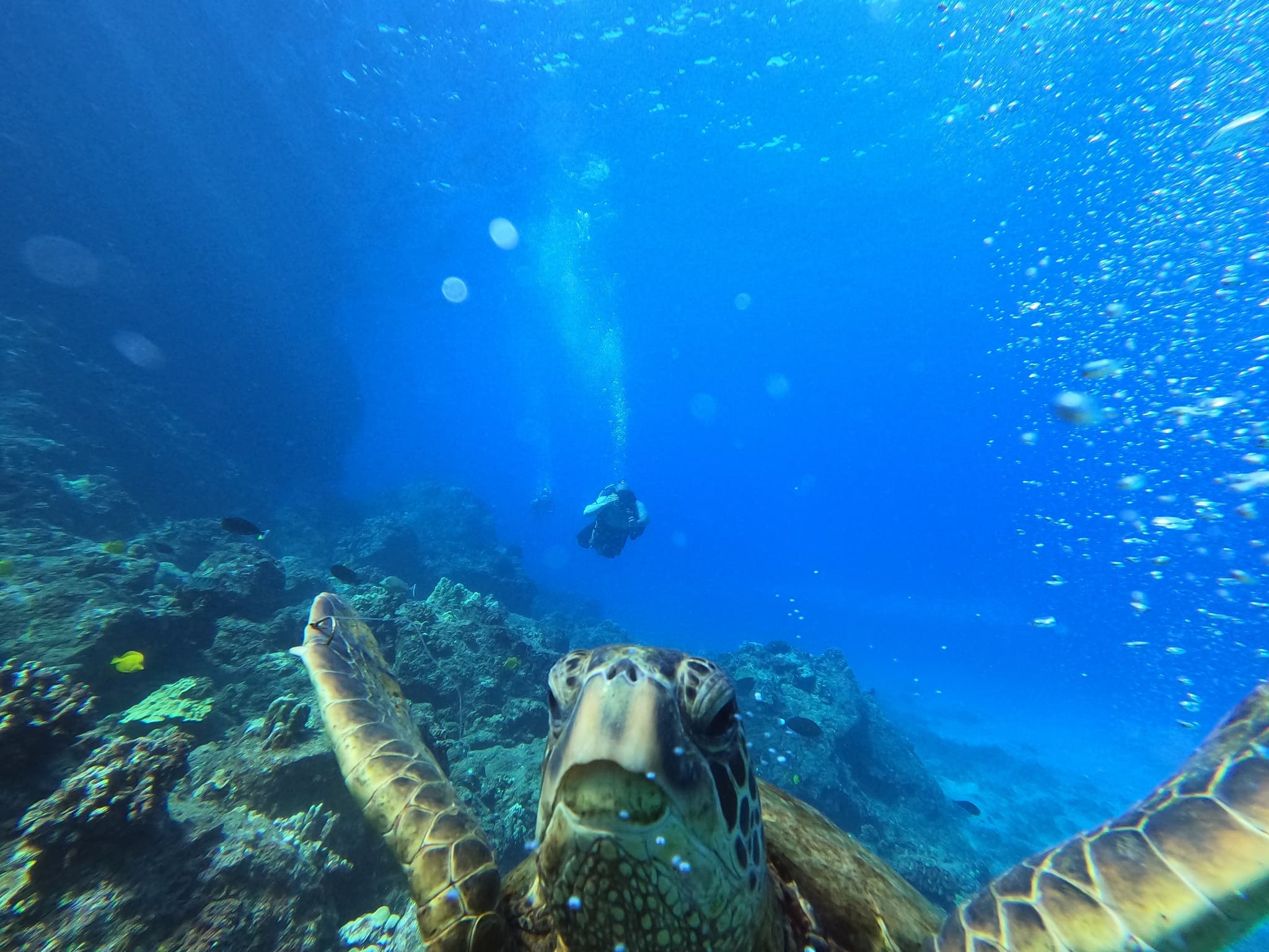 Intro SCUBA Adventure