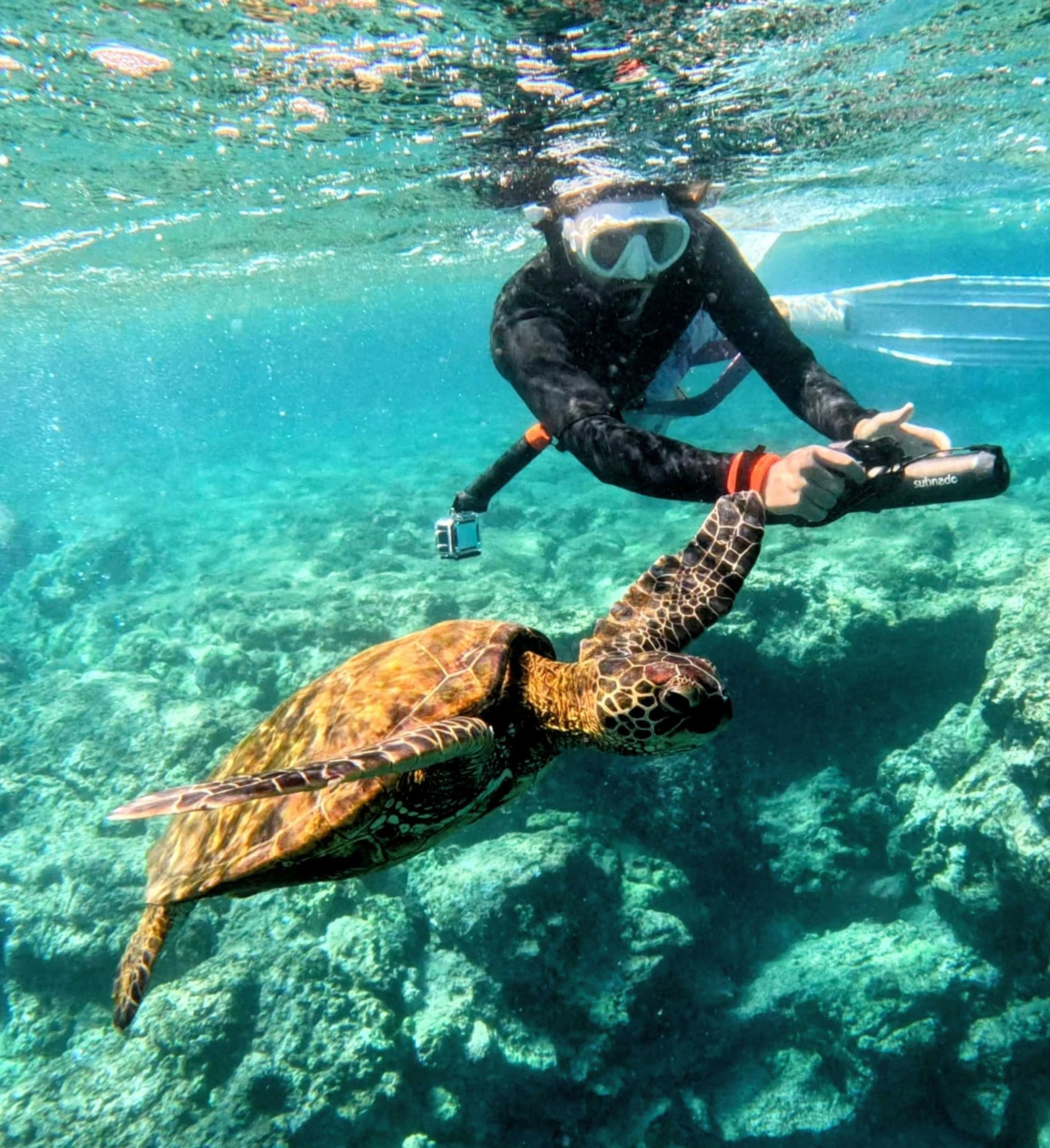 Puako Bay Private Tour