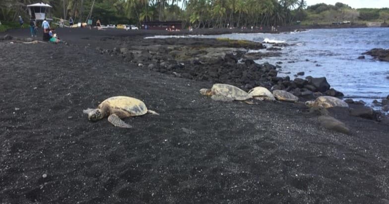 Choose Your Own Adventure From Kona