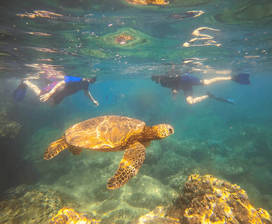 Private Snorkeling Adventure