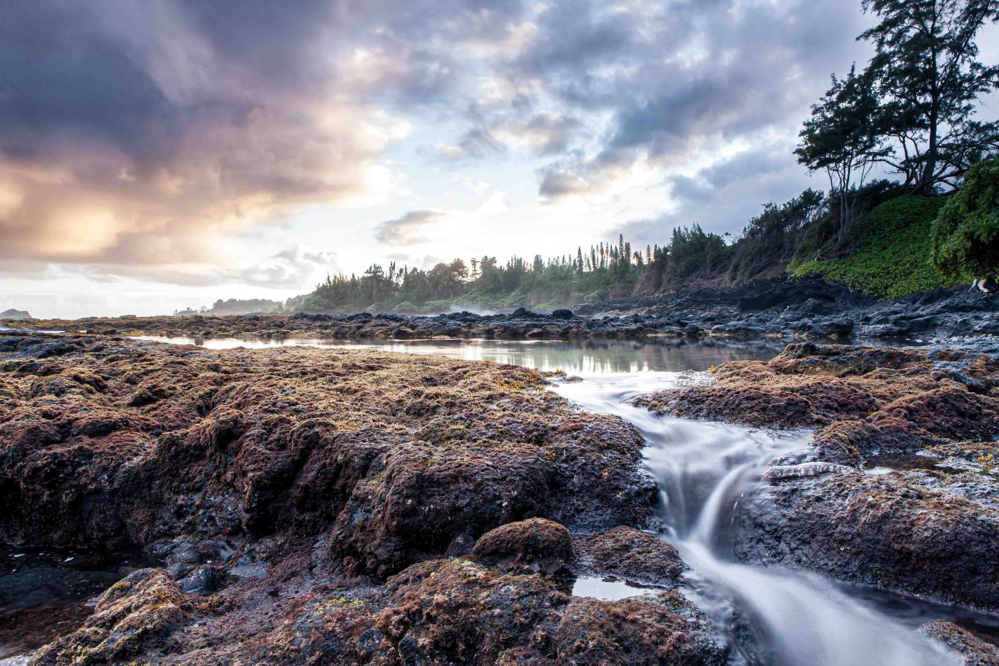 Private Tours: Road to Hana & Haleakala National Park or Customized Adventures