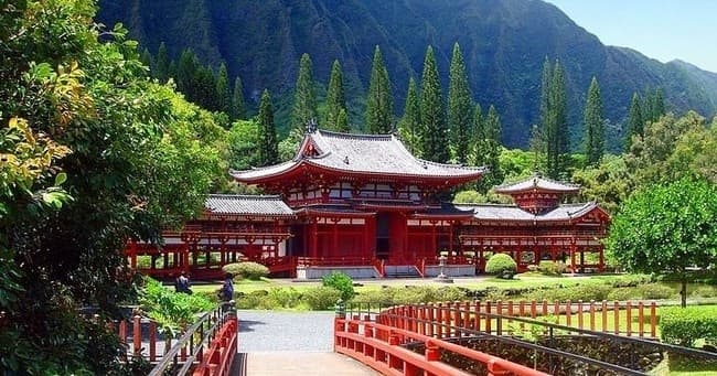 Hang Loose at North Shore, Oahu Private Tour