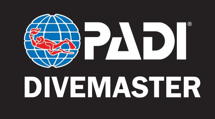 Divemaster Course