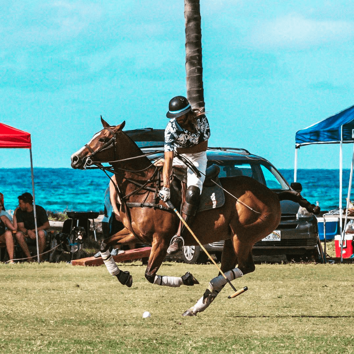 Polo / Riding Lesson
