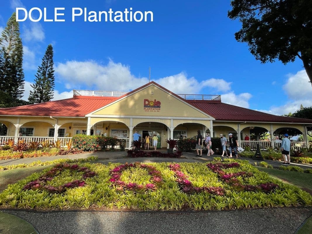 North Shore Adventure Tour