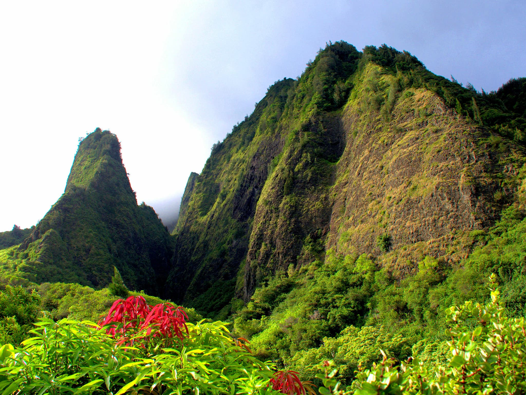 Private West Maui Tour (8 hours)