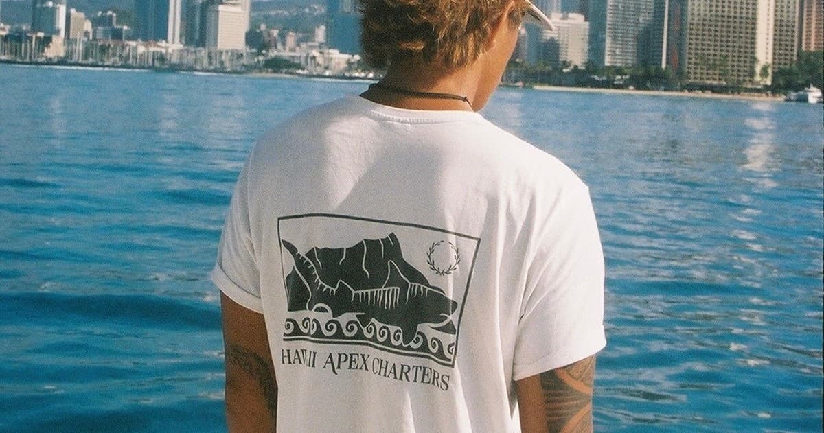 Marine Wildlife Snorkel Tour: Sea Tiger Shipwreck & Sharks