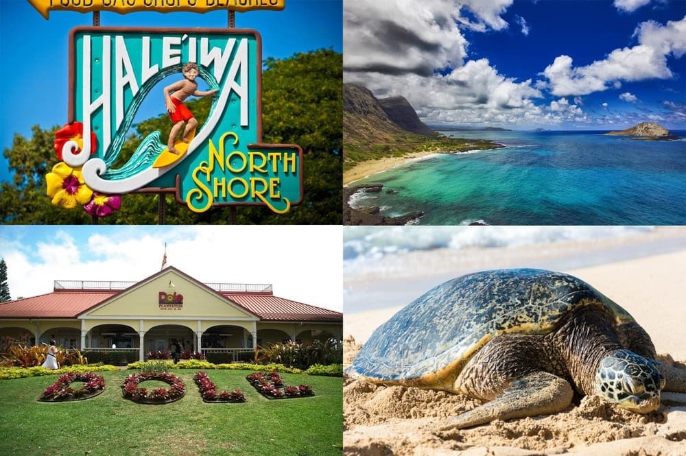 GRAND TOUR AROUND ISLAND – VISITING 16 LOCATIONS + GRAND PEARL HARBOR & CITY TOUR