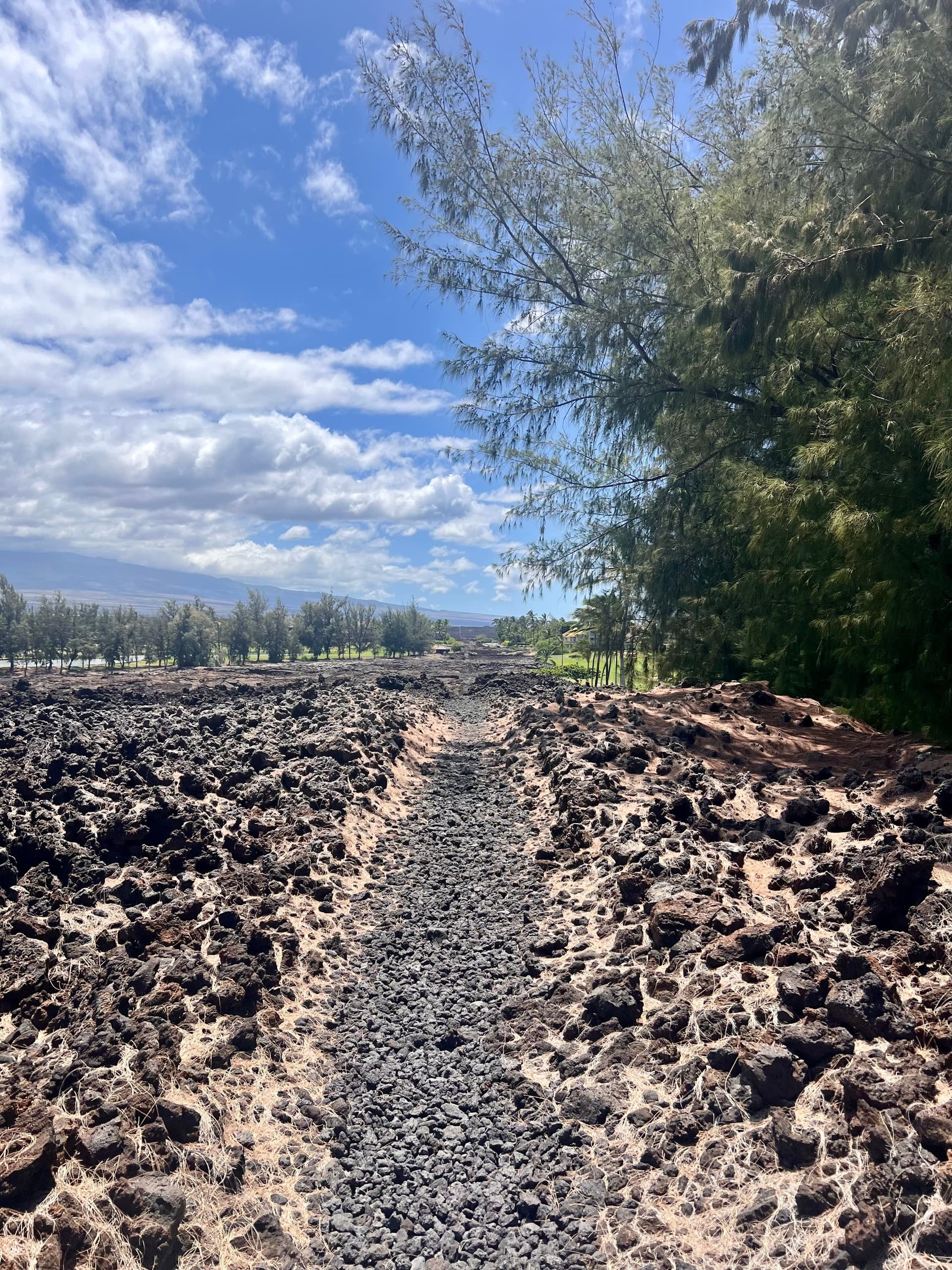 Historic Hawaii and Big Island Market Tour