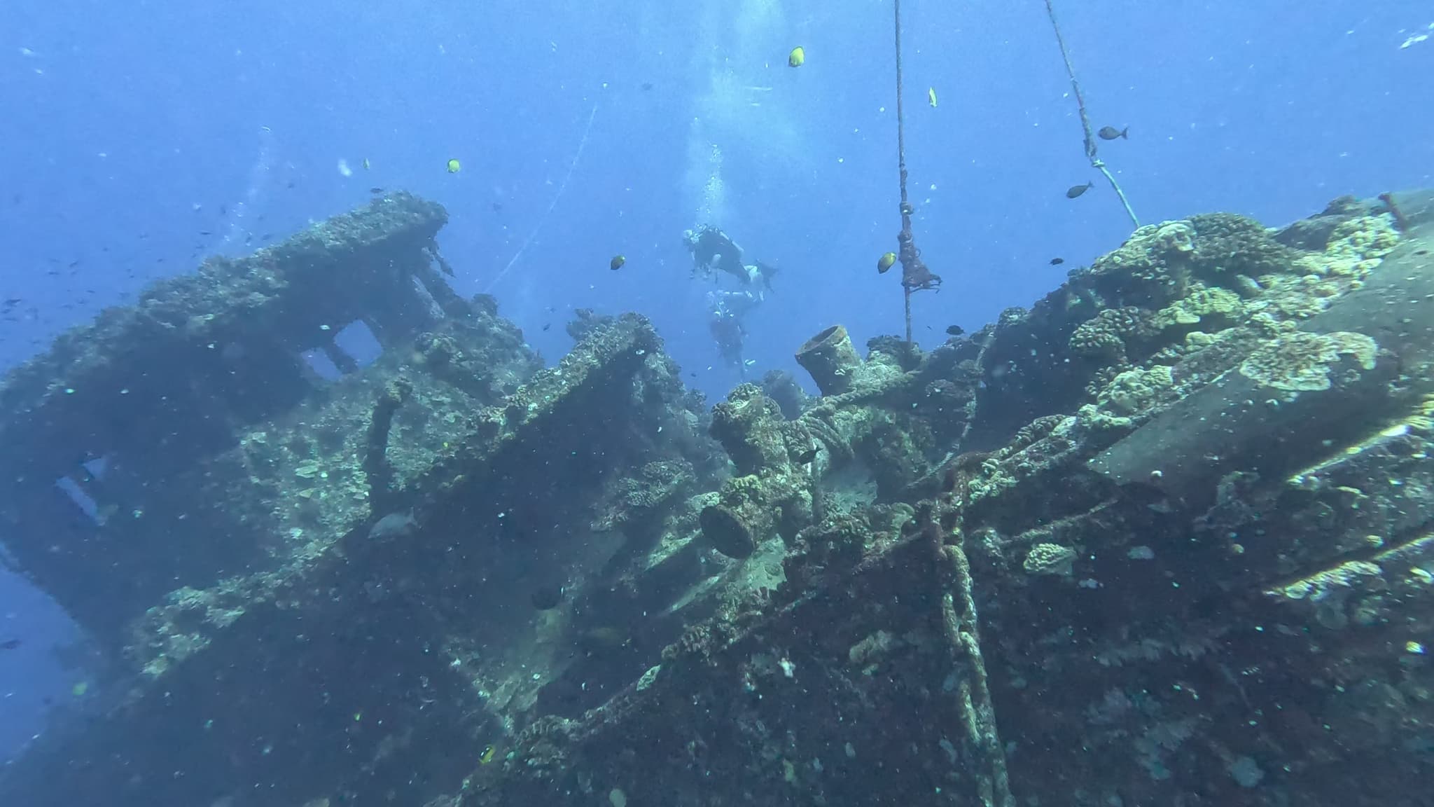 Scuba Dive - Navy Tug