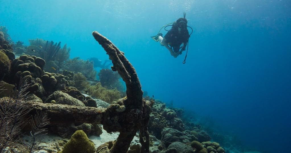 Guided Shore Dive 1-Tank