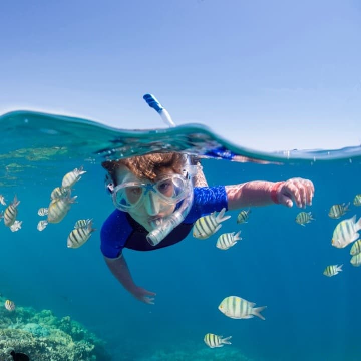 2-Hour Waikiki Snorkel Adventure