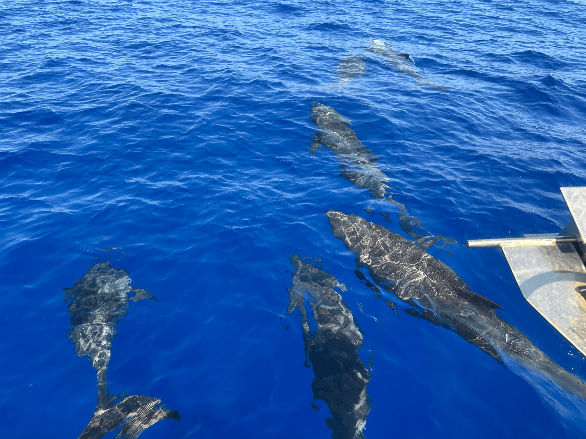 Photography Expedition