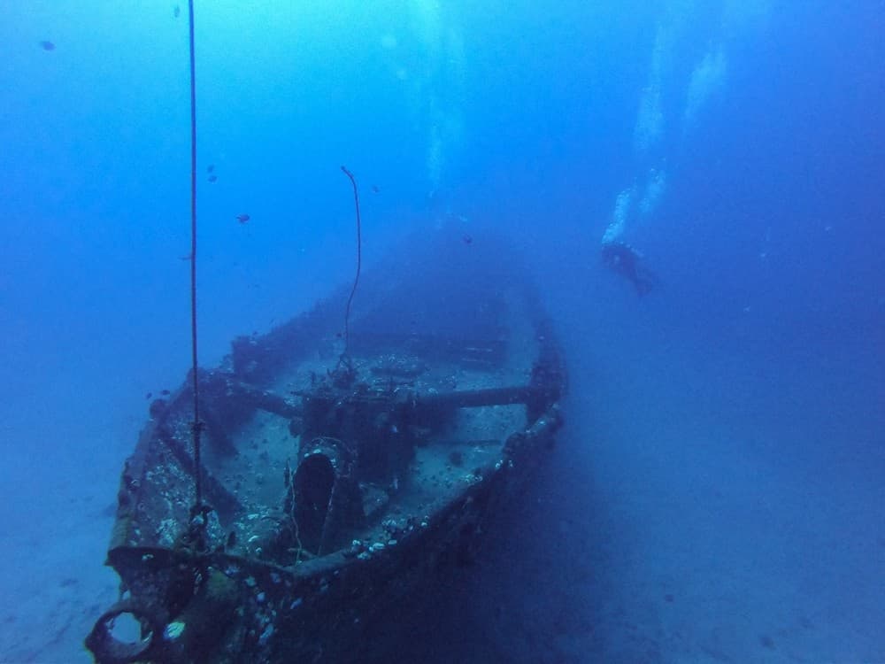 Carthaginian Shipwreck and Mala Pier (15 dive min)