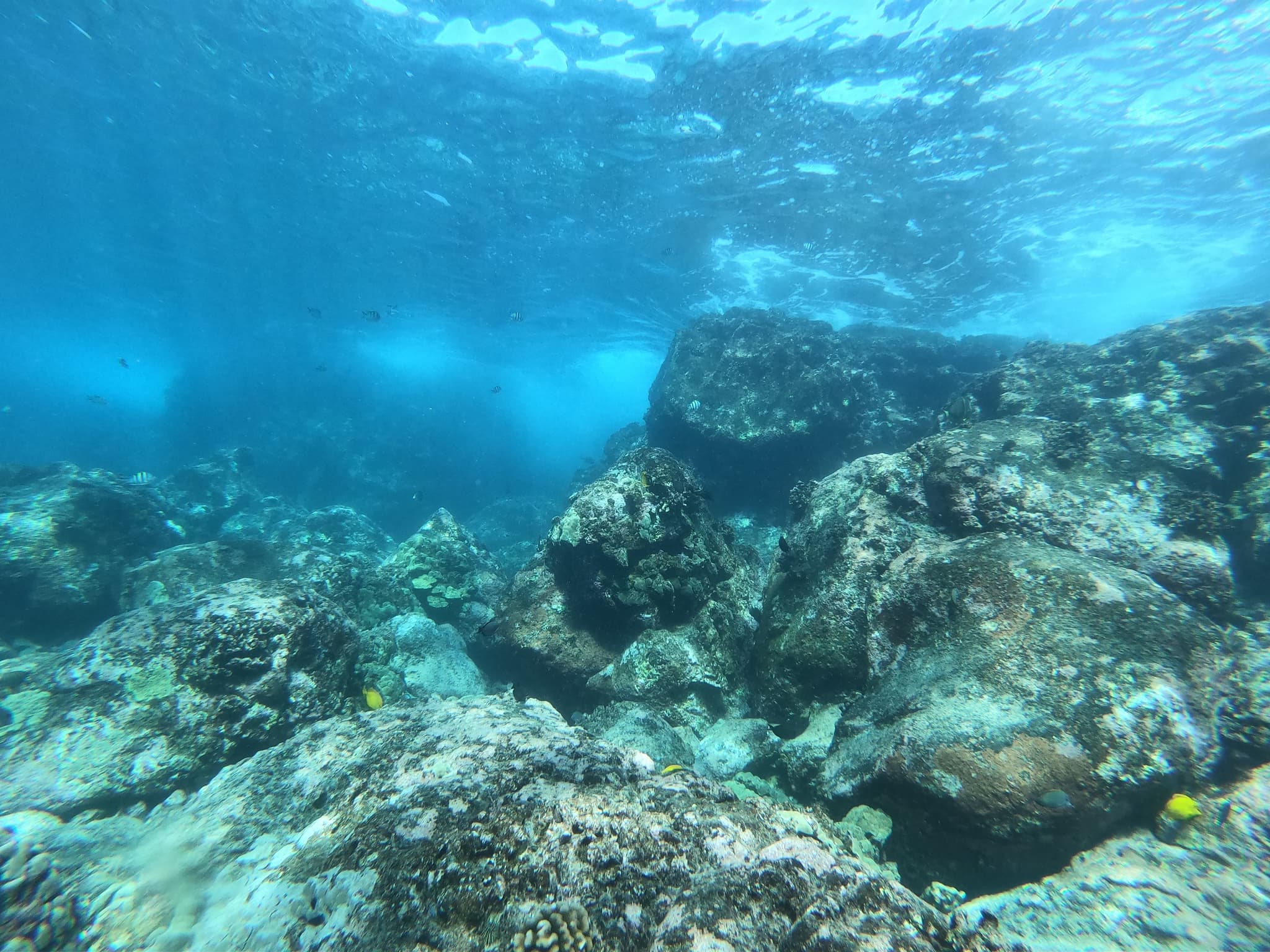 Open Water Diver Course Day 2