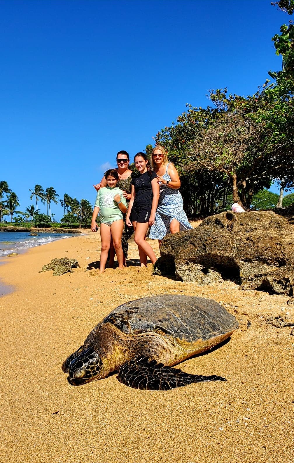 Private Circle Island  Sightseeing & Food Tour