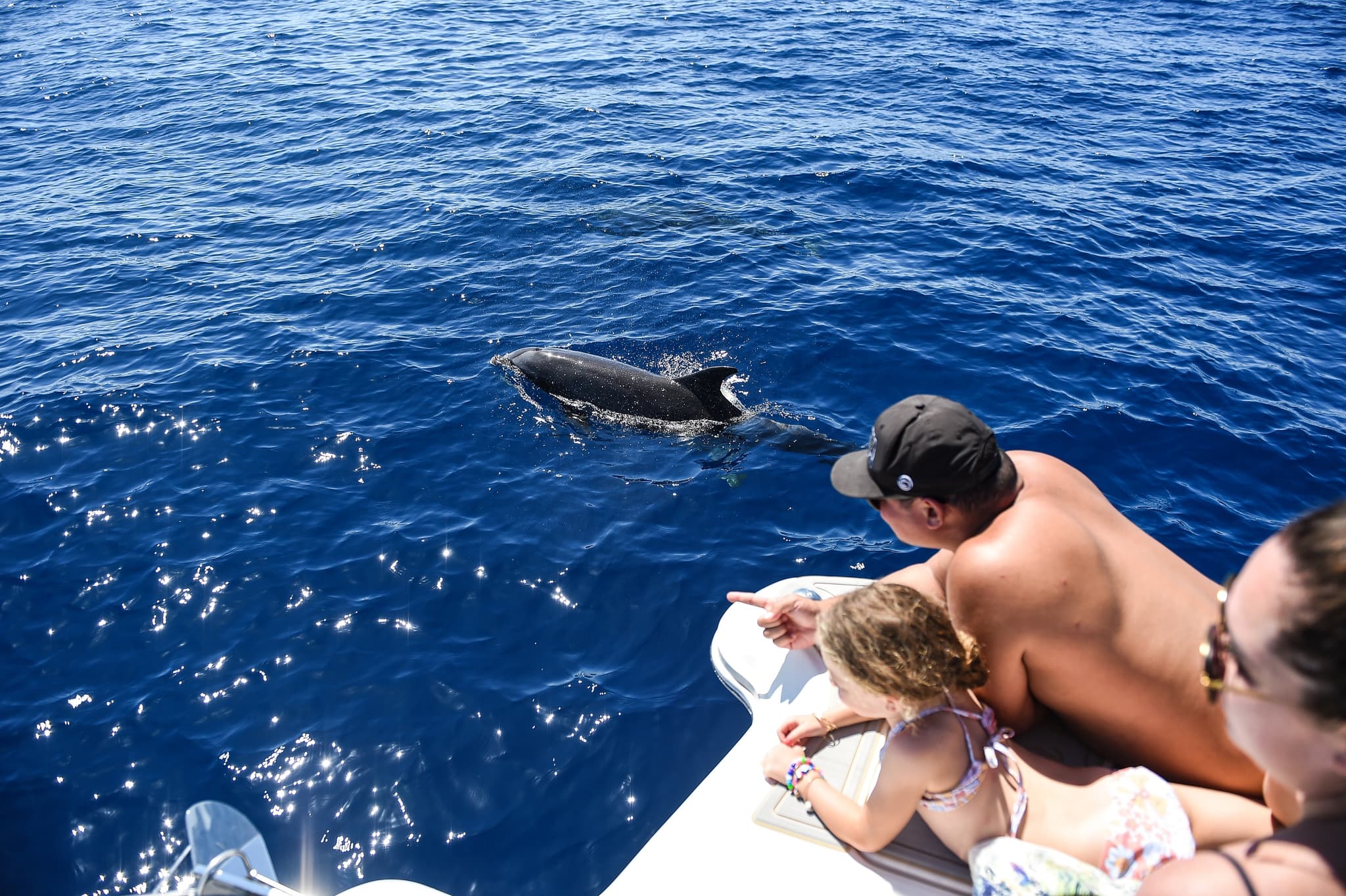 Venture Ko Olina Wildlife Snorkel