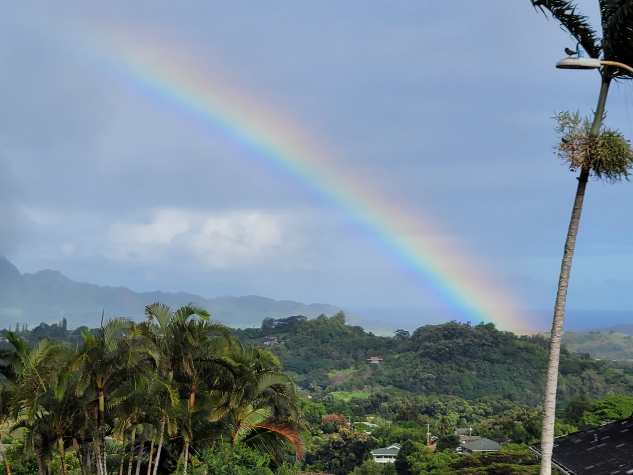 Jr Ocean Ranger “Seal Team”