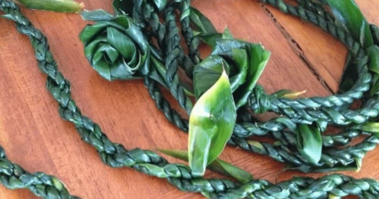 Lei Making and Hula Experience