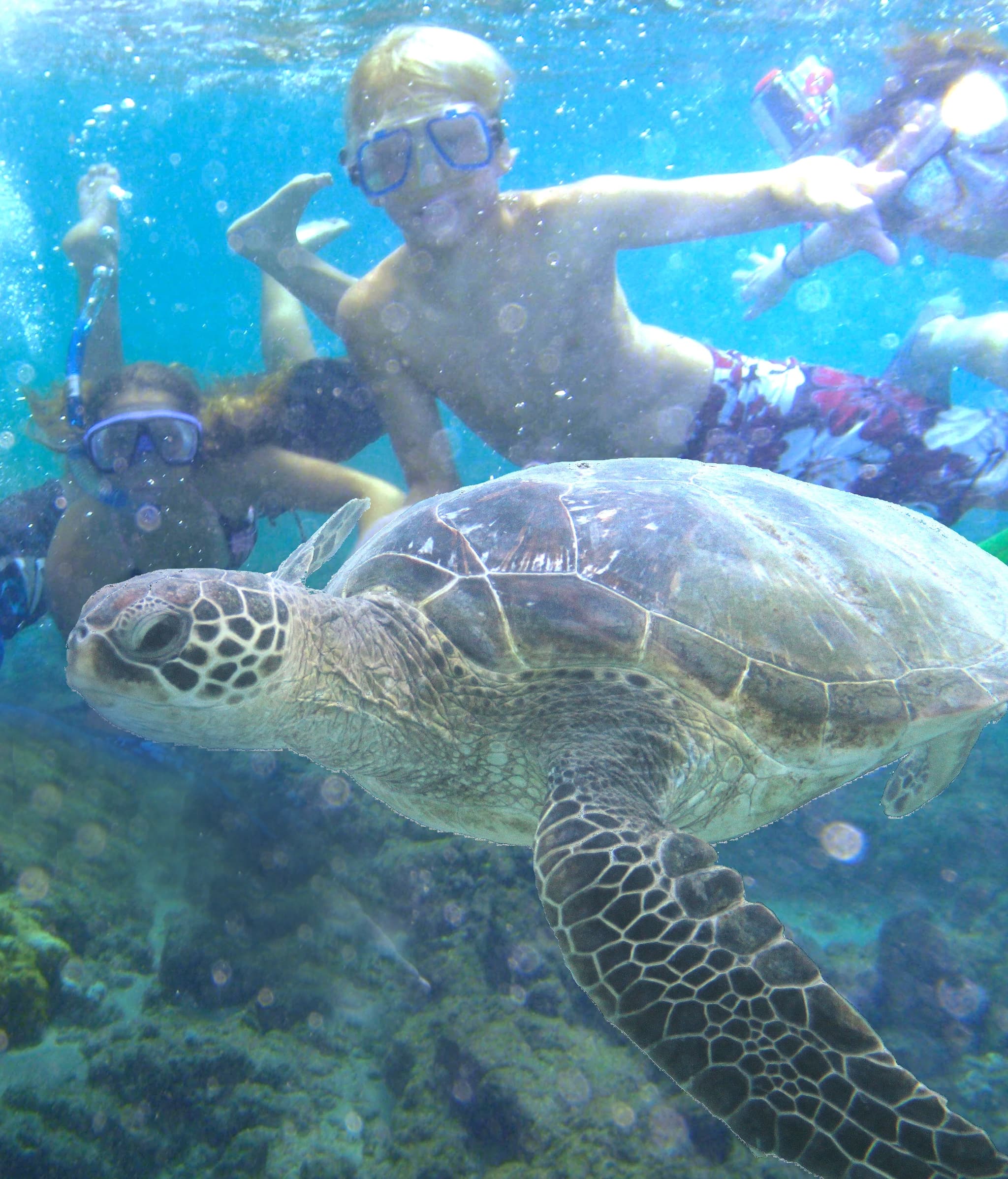 1日パス！（レンタルパッケージ）Day Pass