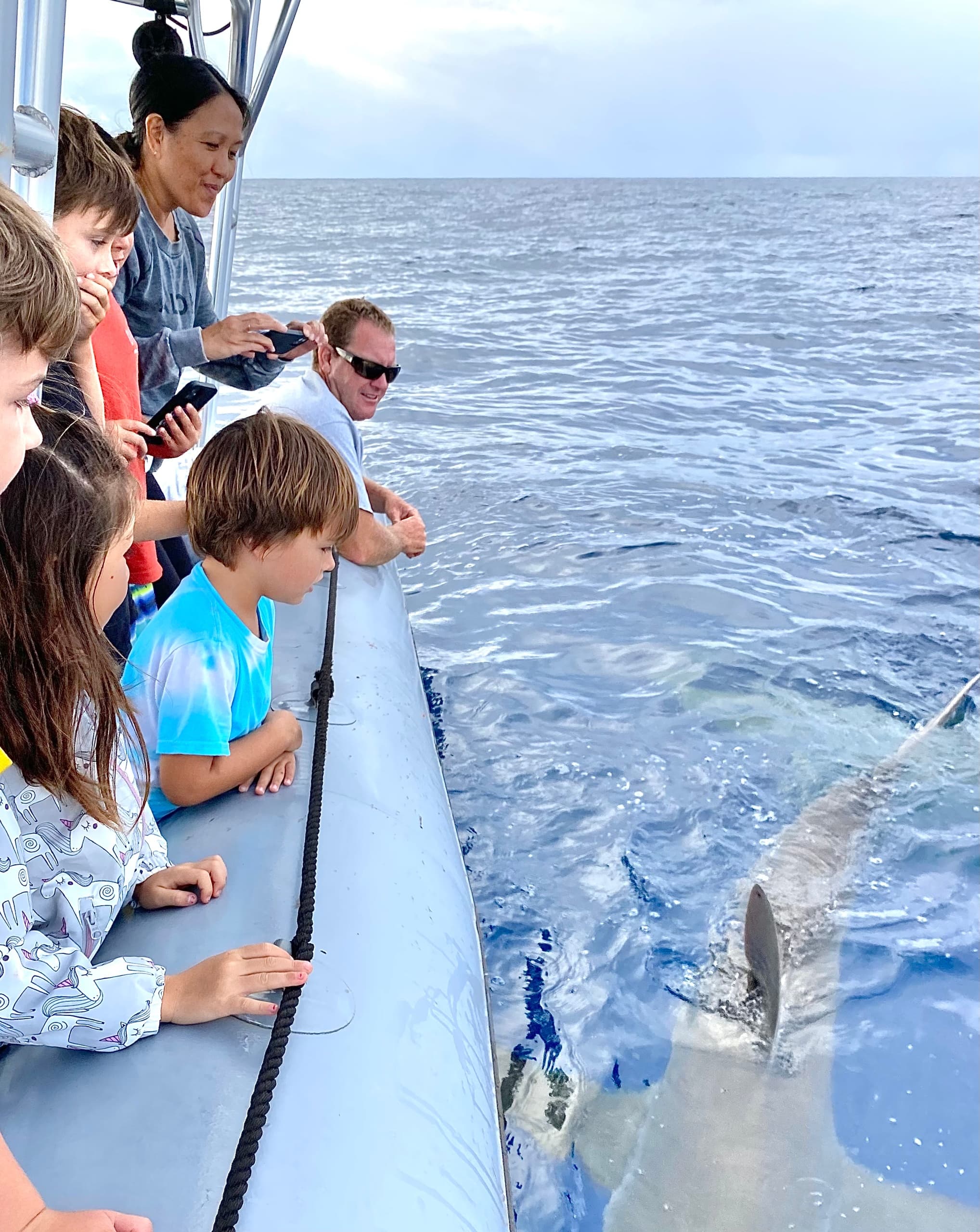 1.5 Hour Shark Adventure (No Swiming/Diving)