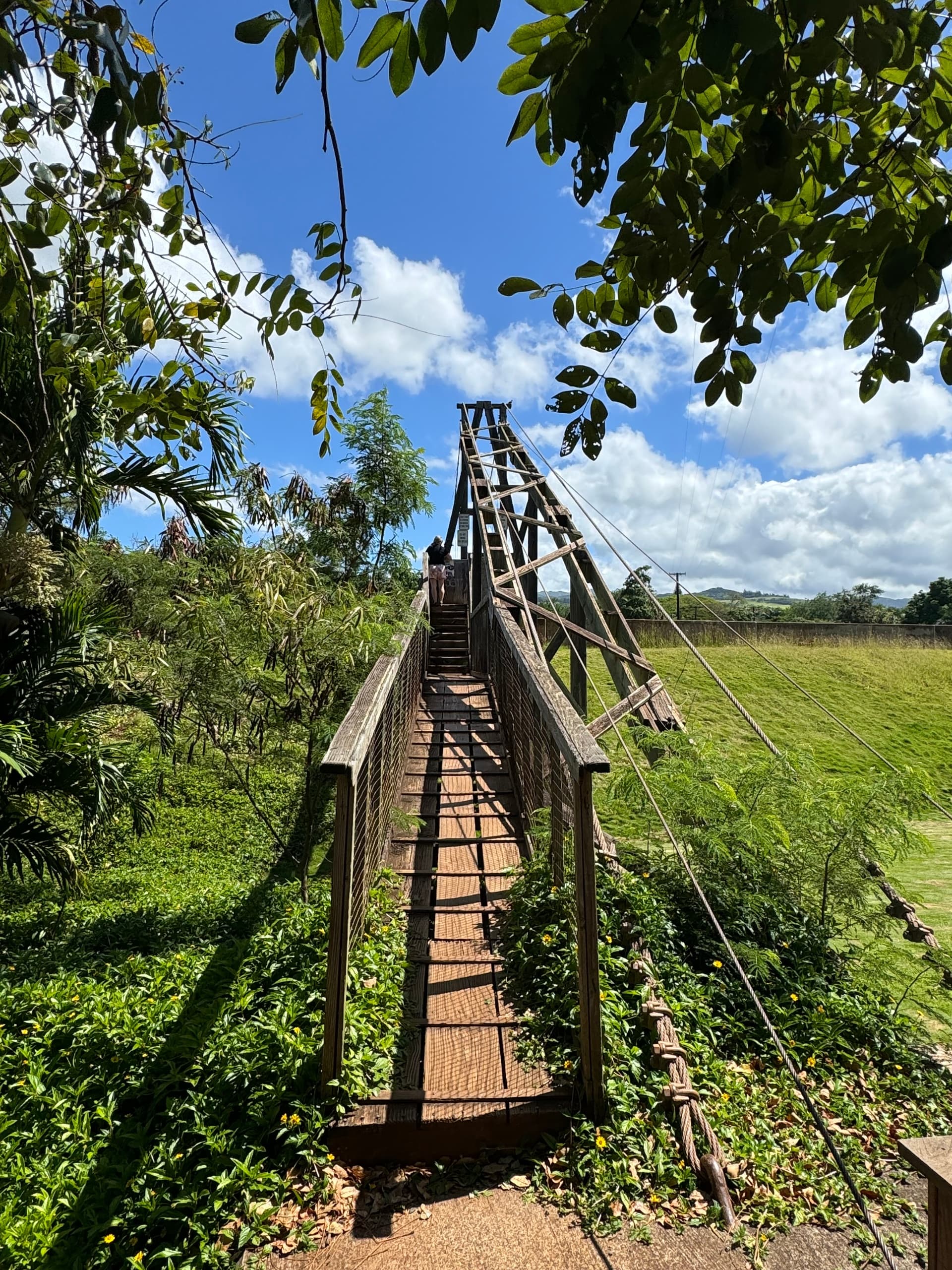 Waimea Canyon Tour - From Kauai (2nd van)