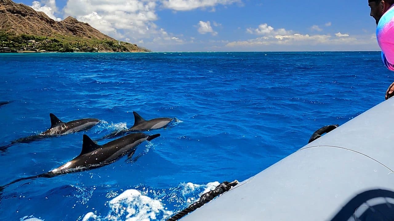 Semi-Private Snorkeling Adventure