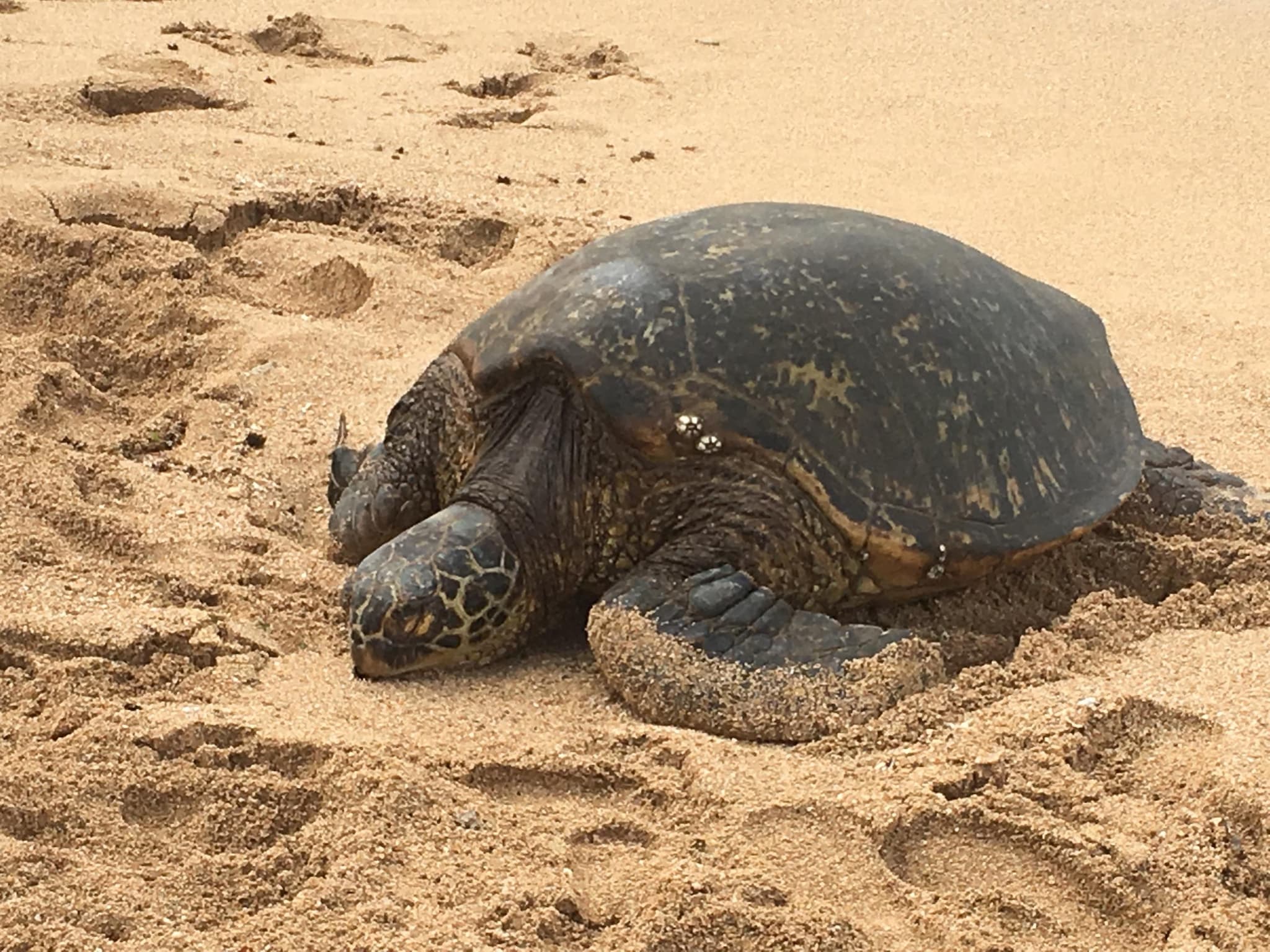 Local Expert Premier Private Tour