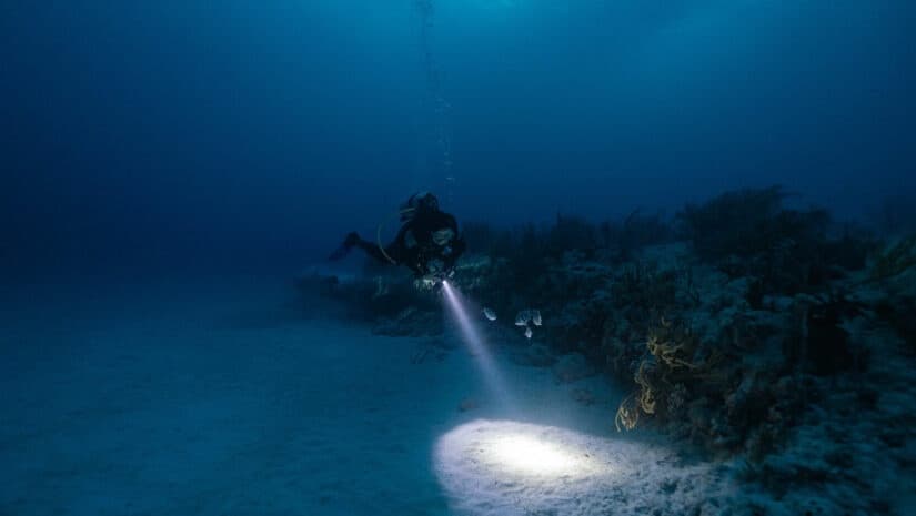 1 Tank Shore Dive – Certified Night Dive